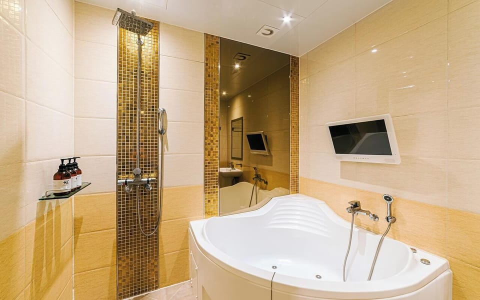 Hair dryer, towels, shampoo, toilet paper