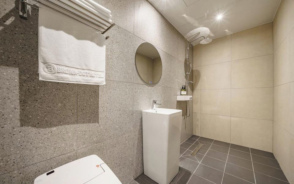 Bidet, towels, shampoo, toilet paper