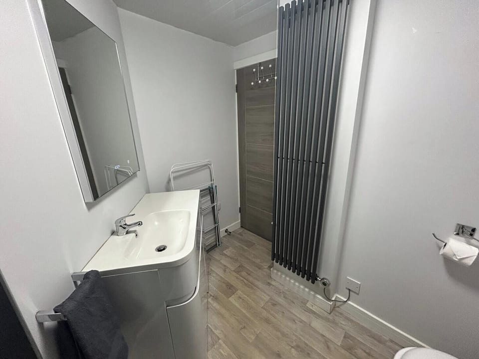 Contemporary shower room with walk-in shower and WC