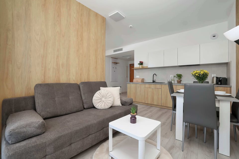 Open-concept apartment layout seamlessly connecting the living room and kitchen.