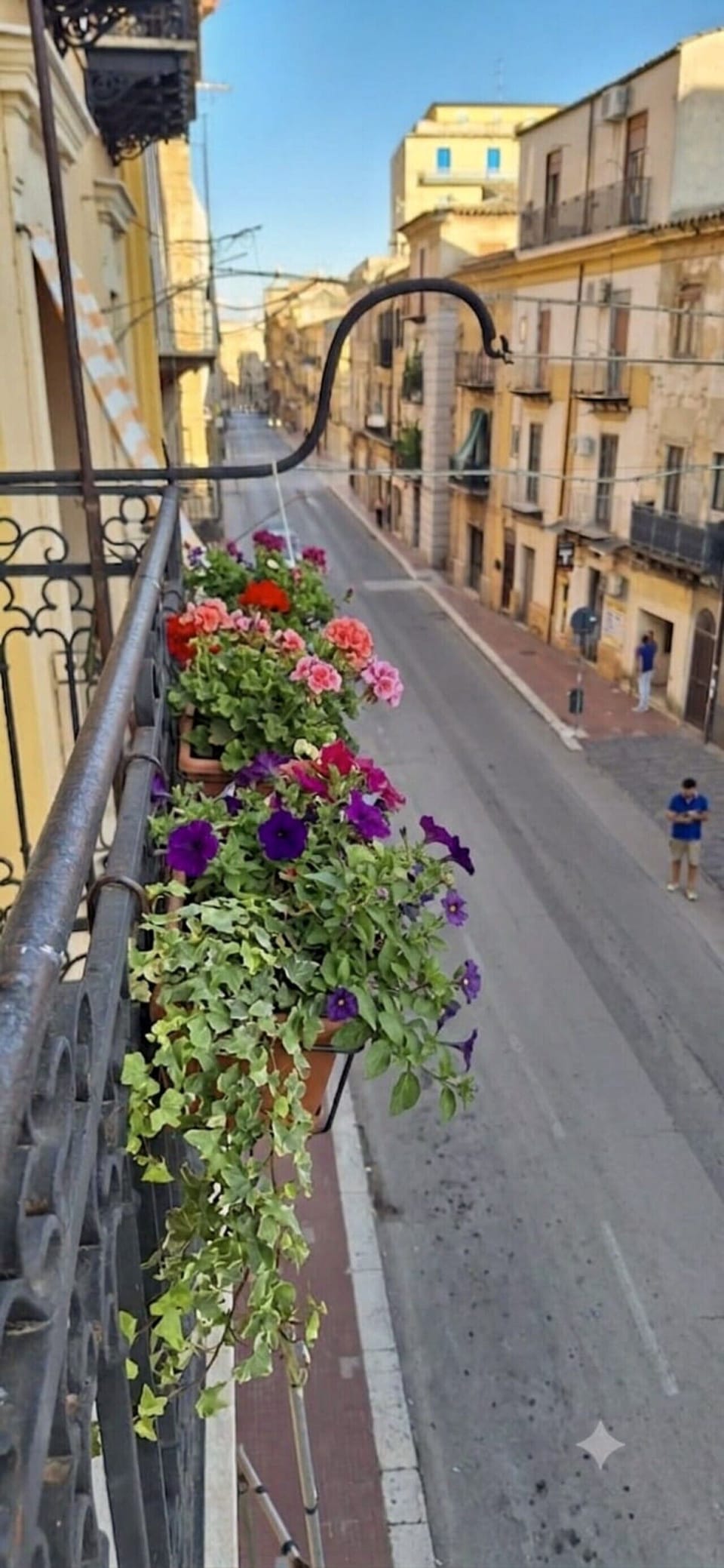 palmieri