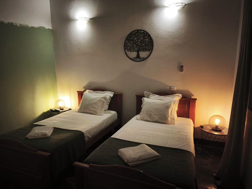 Classic Twin Room, Vineyard View | Soundproofing, WiFi (free)