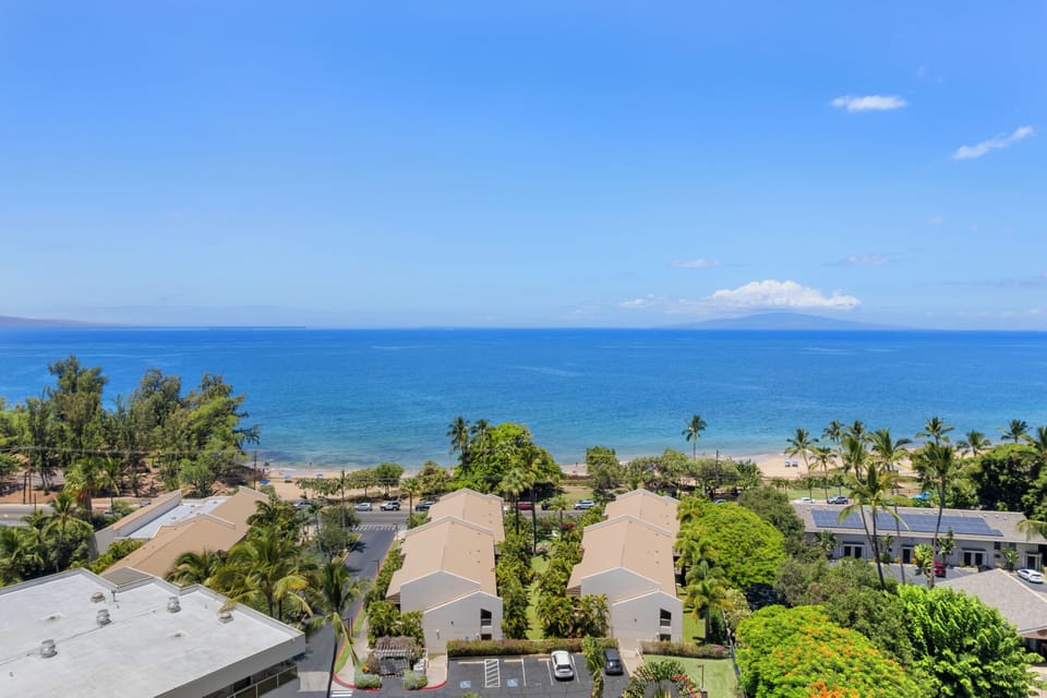 Maui Banyan Aerial View