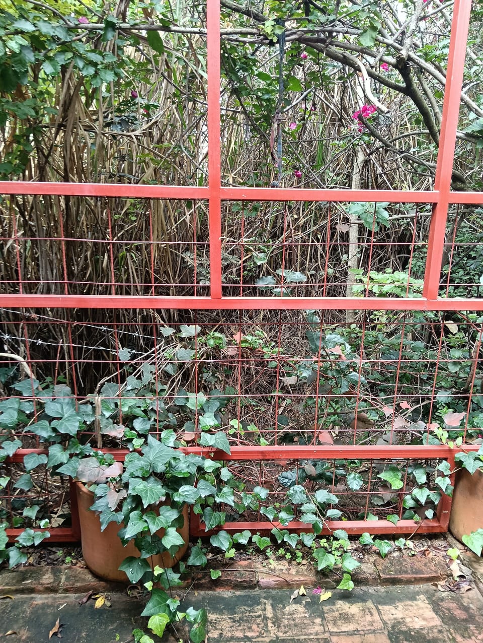 Property grounds