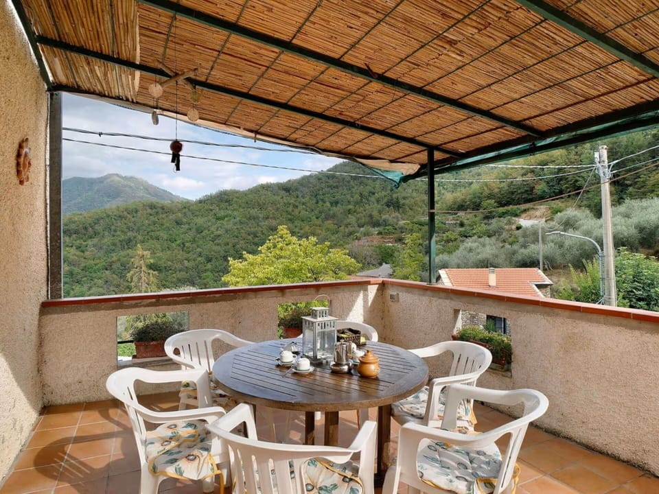 Furniture, Table, Chair, Kitchen & Dining Room Table, Outdoor Table, Outdoor Furniture, Balcony, Shade, Houseplant, Wood Stain