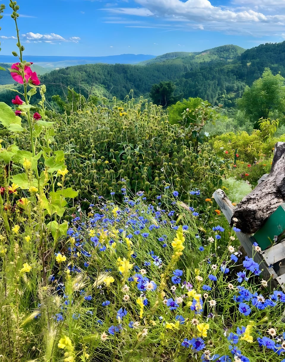 Miscellaneous