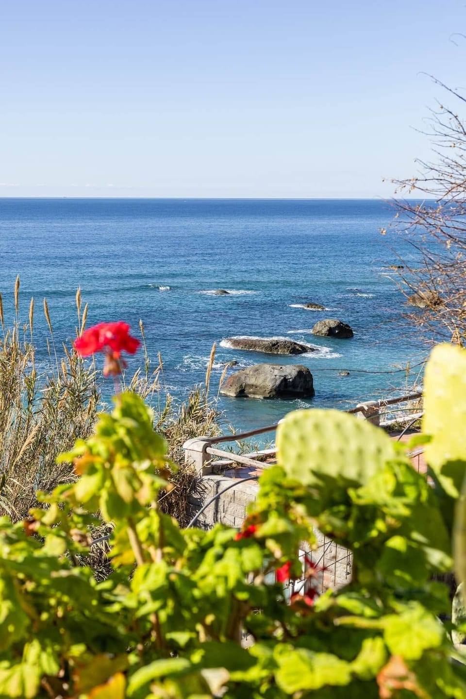 Fiori colorati , brezza marina , vista da sogno ... 