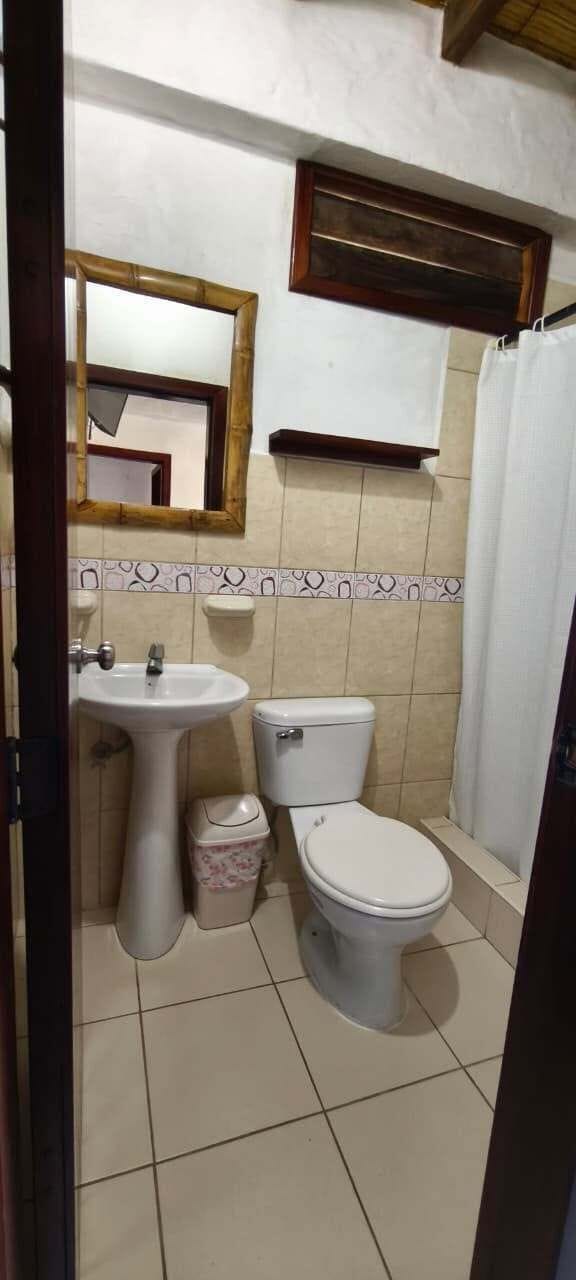 Shower, towels, soap, shampoo