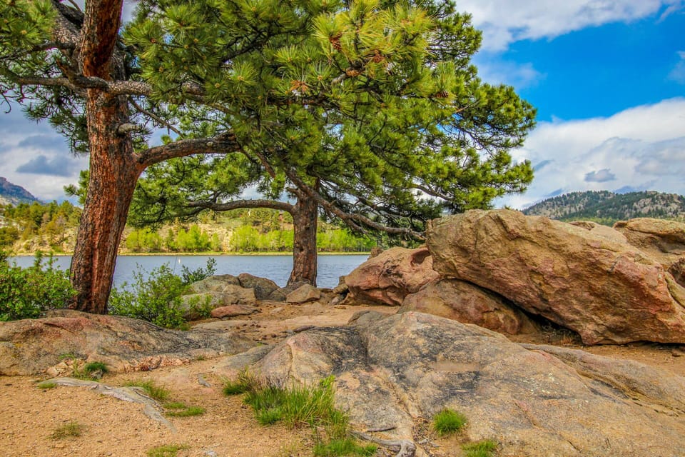 Condo, Multiple Beds, Mountain View (Quiet in the Pines) | Mountain view