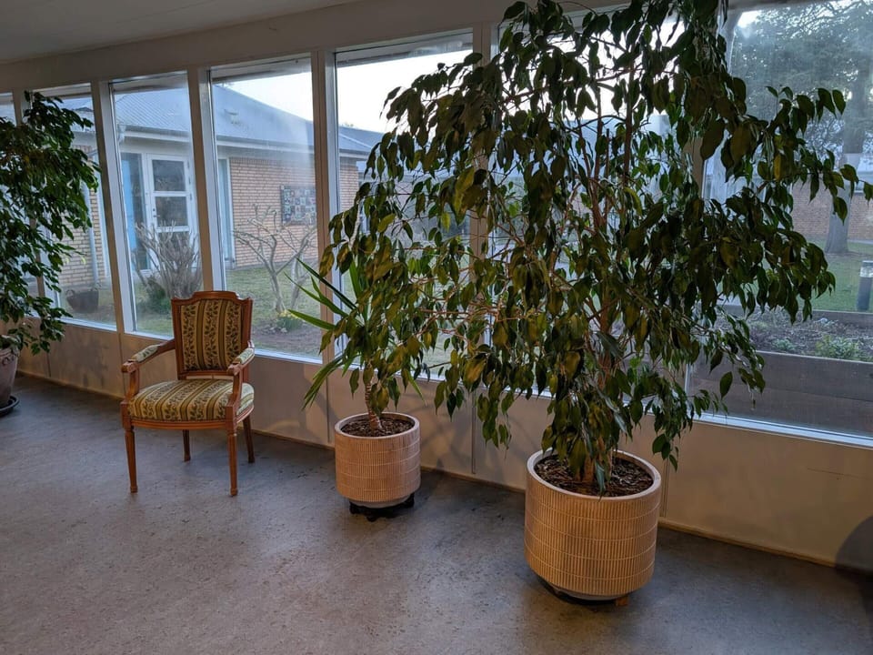House | Interior
