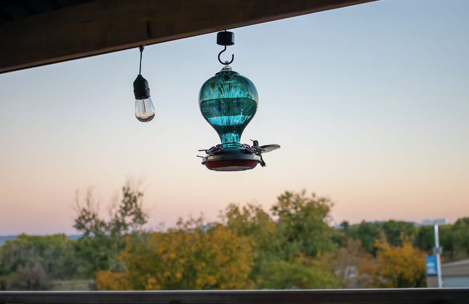 View from property