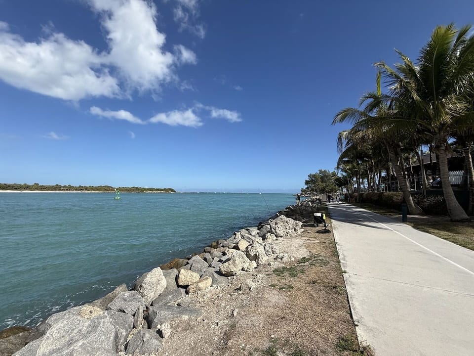Scenic waterfront walkway with beautiful water views, palm trees, and a peaceful coastal setting.
