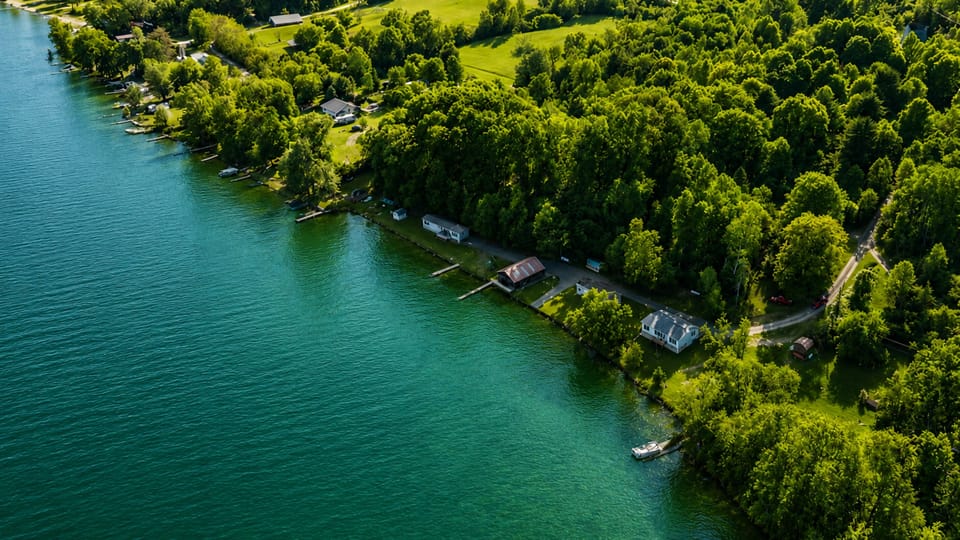 Waterfront cabins beneath mature trees
