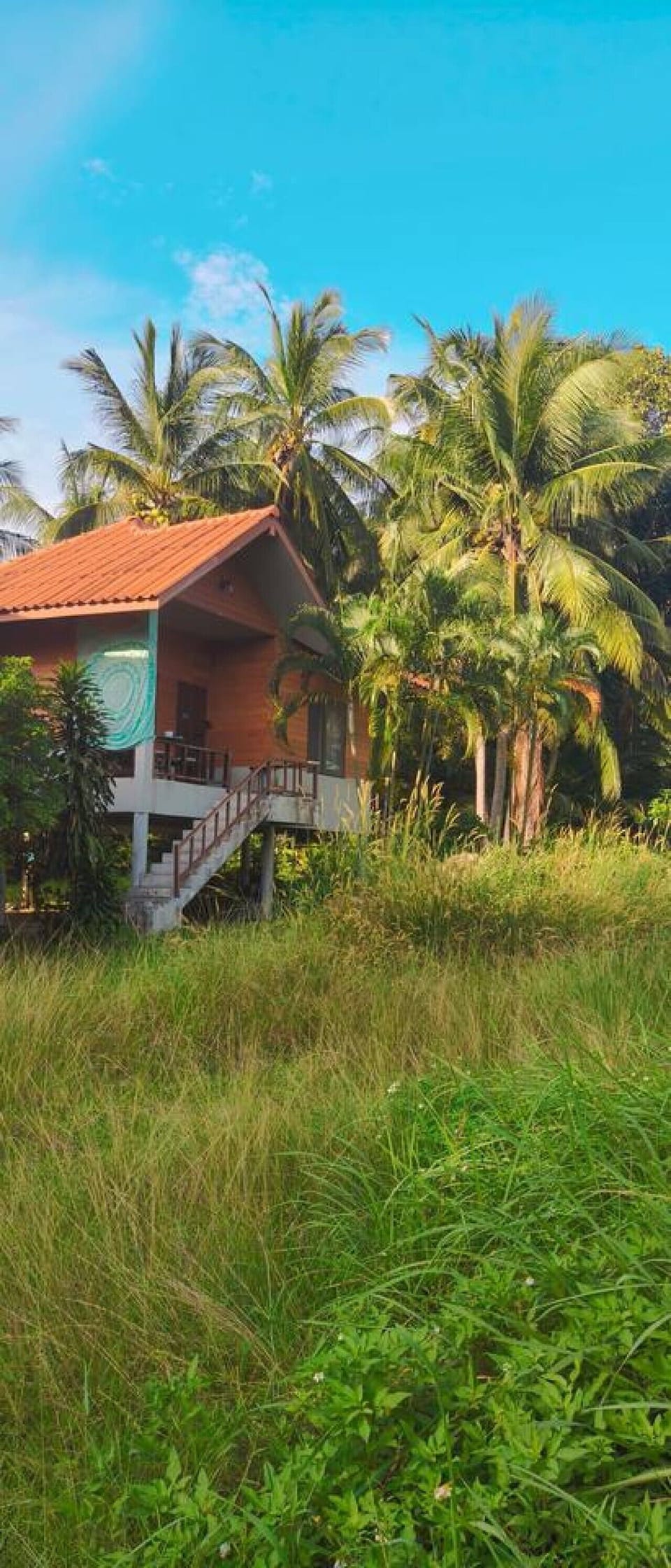 Private tropical house surrounded by lush greenery