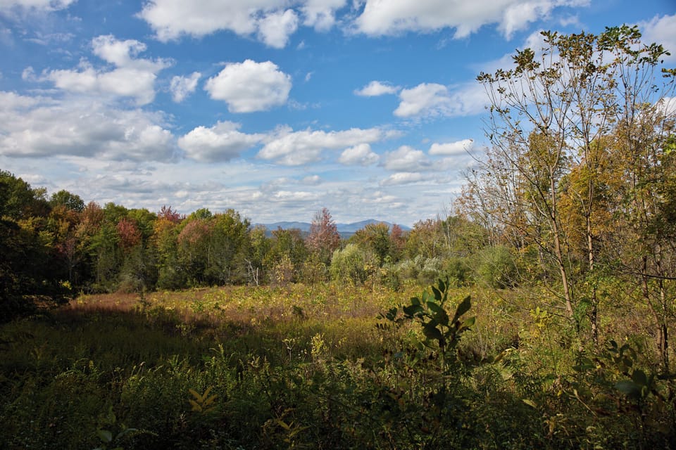 Meadows and mountains on display as you walk down this quiet country road.