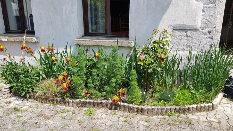 Exterior detail