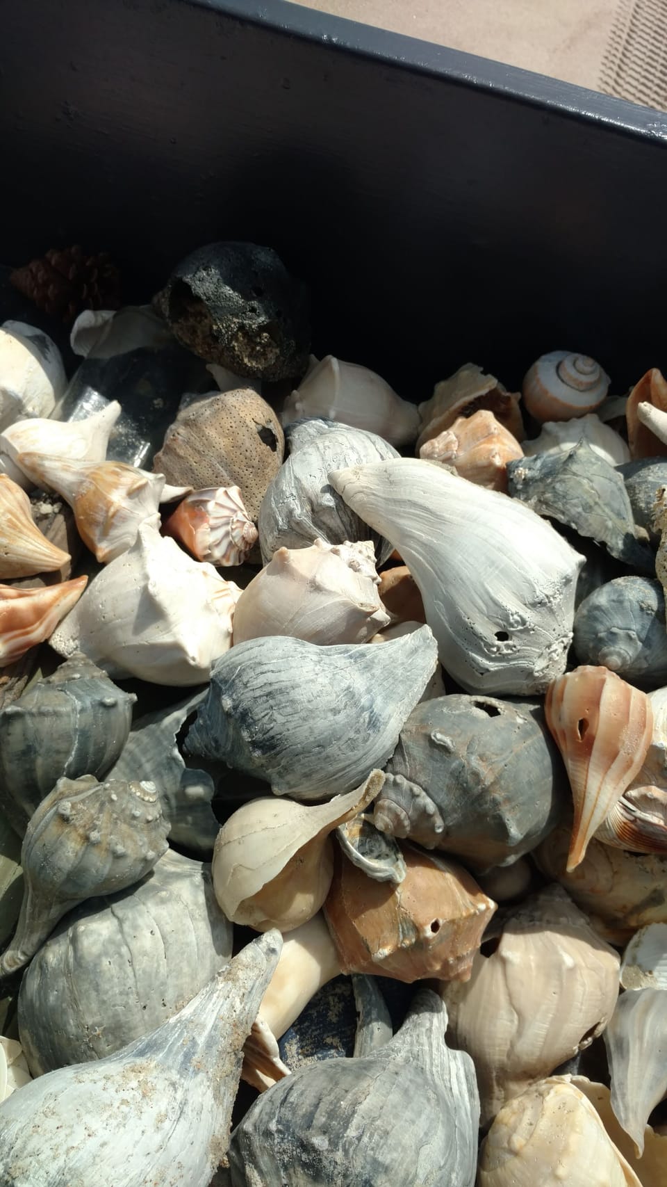 Miscellaneous
