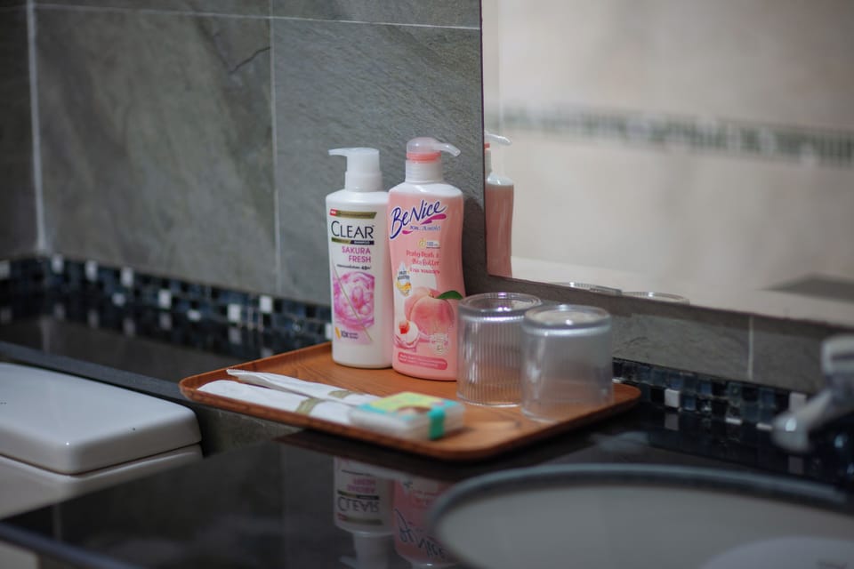 Studio, Non Smoking, City View | Bathroom amenities | Hair dryer, towels, soap, shampoo