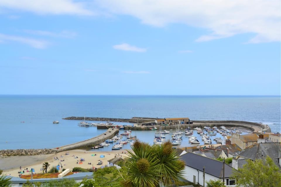 Explore the independent shops and eateries of Lyme Regis