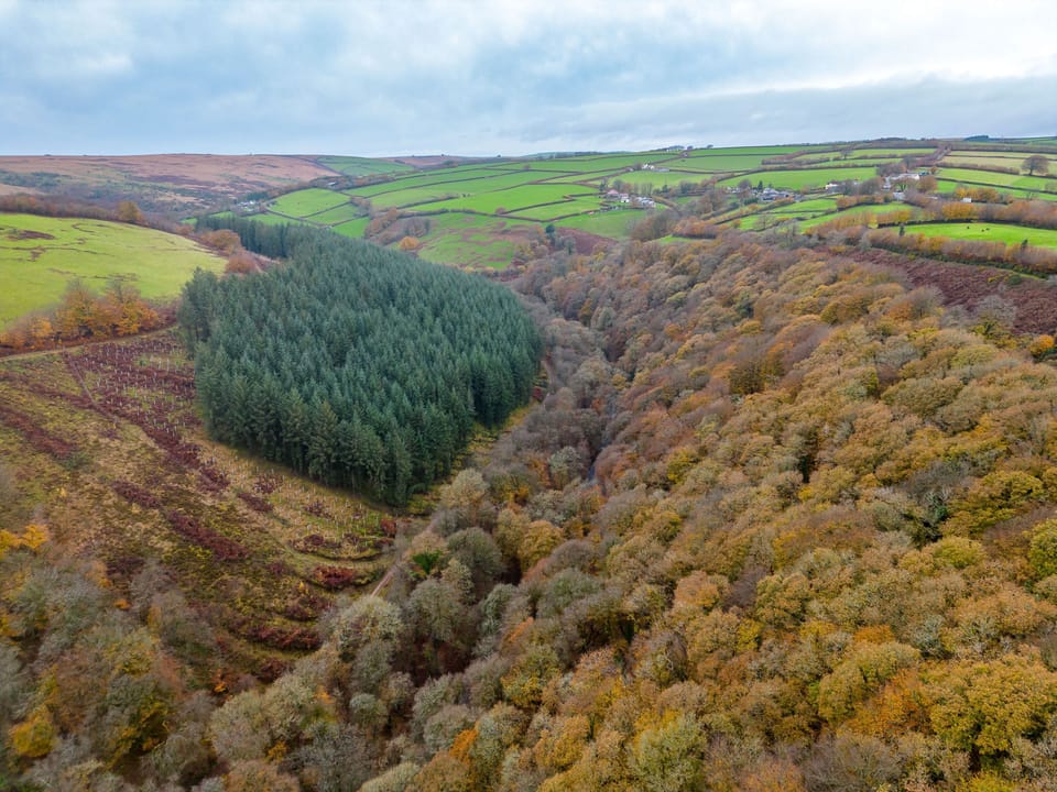 West Hollowcombe Farm Woods