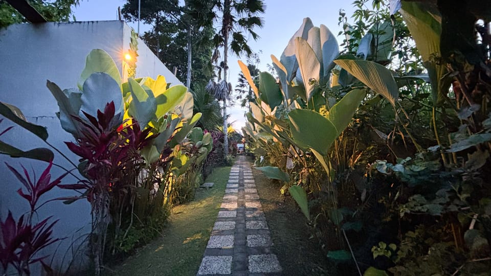 Luxury Villa, 1 Bedroom, Private Bathroom, Valley View | Property grounds