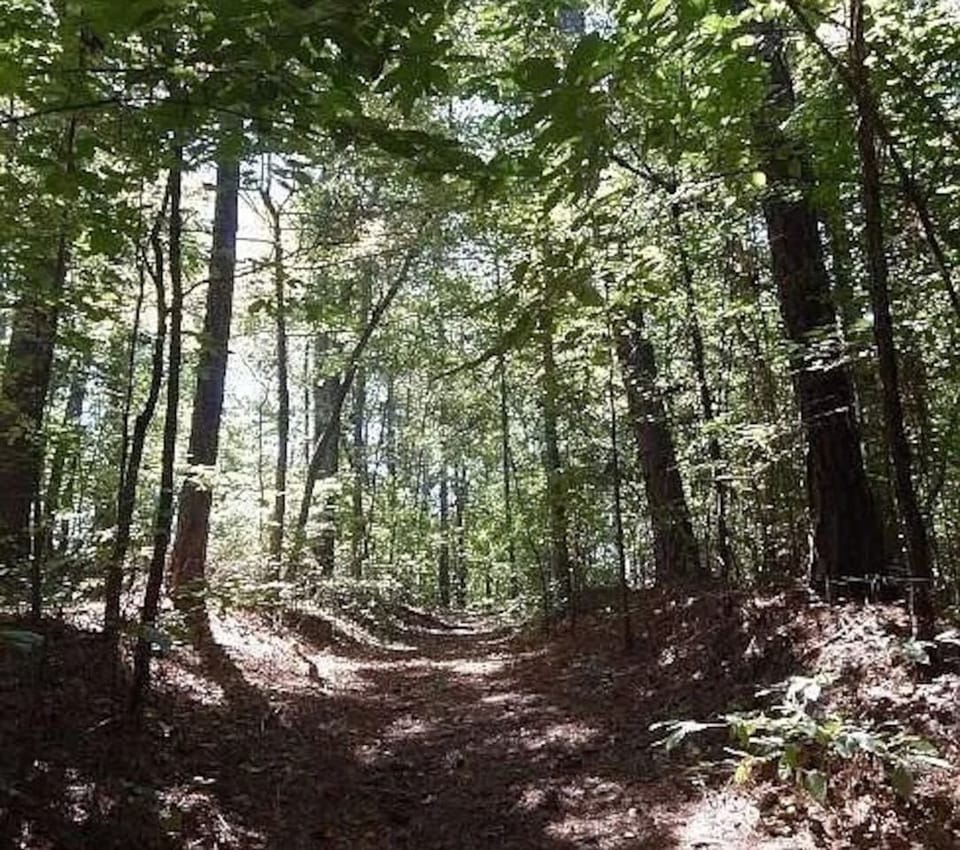 Peaceful wooded trail just 0.3 miles from the home leading to Lake Allatoona