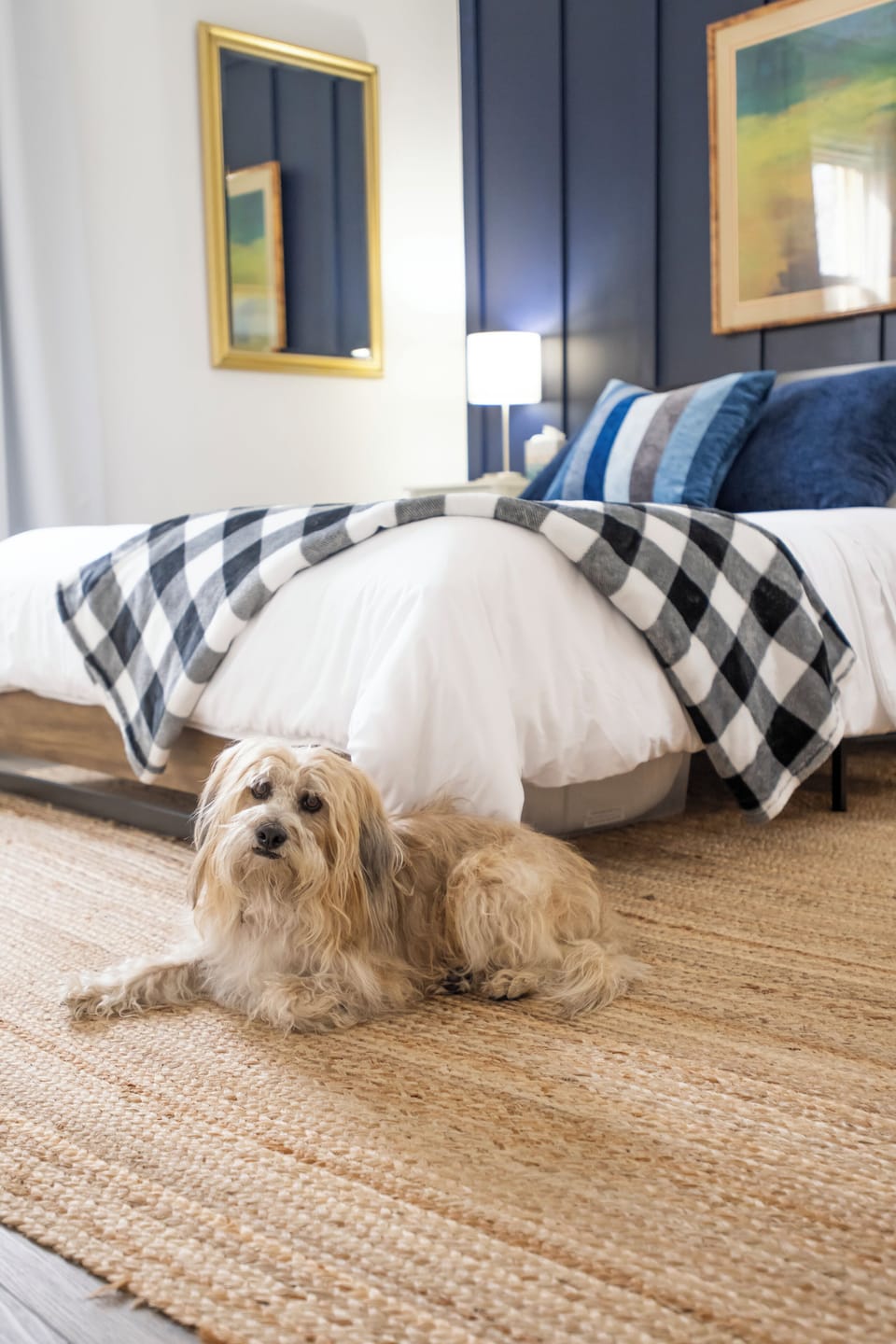 Cozy, pet-friendly bedroom with stylish decor and plush layered bedding