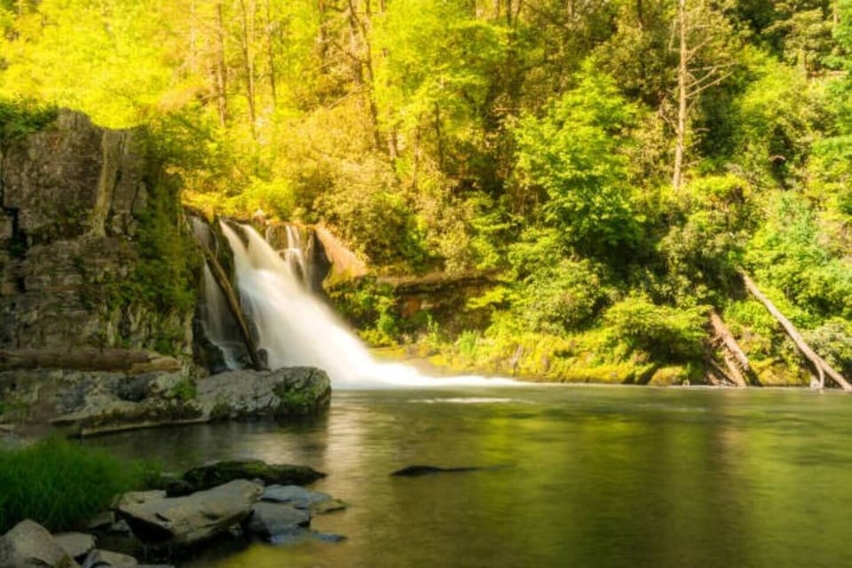 Abrams falls! A moderate hike with a waterfall at the turnaround point.