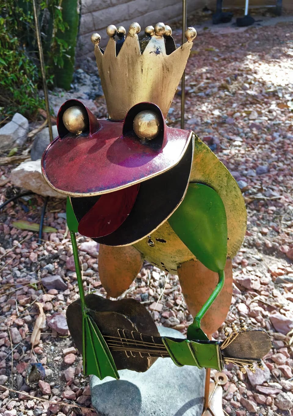 One of our pets. Very low maintenance!