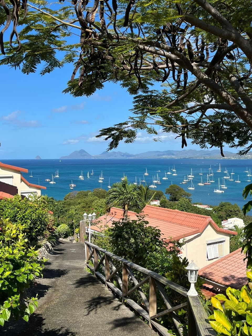 View from property