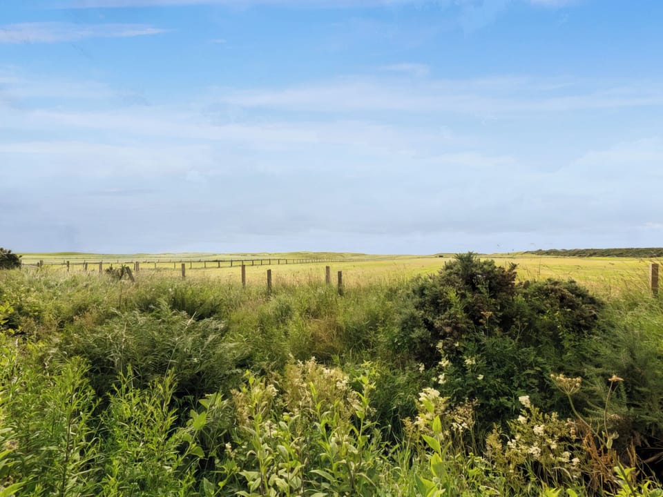Surrounding area | Sutherland Cabin, Brora
