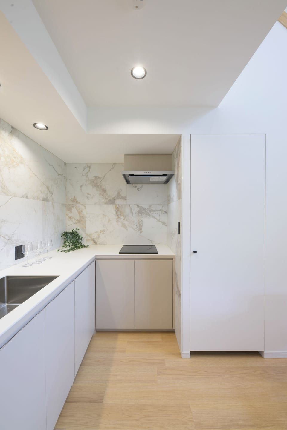 Deluxe Villa | Private kitchen | Fridge, microwave, stovetop, rice cooker