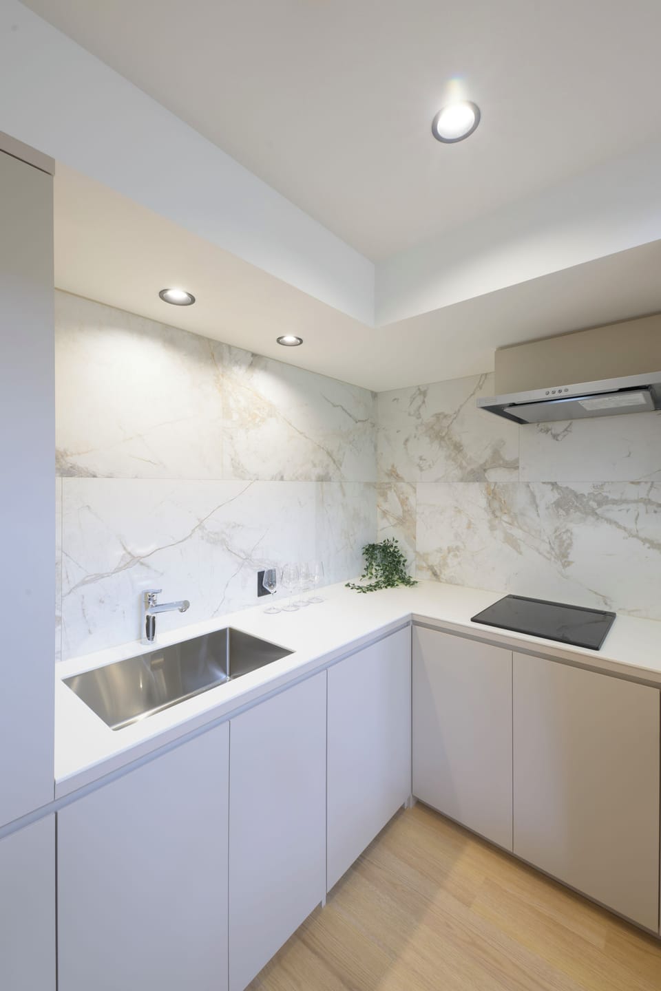 Deluxe Villa | Private kitchen | Fridge, microwave, stovetop, rice cooker