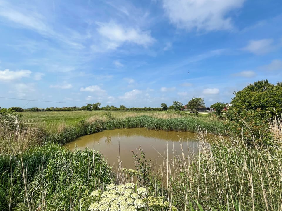 Surrounding area | Ewe-Nice - Poplar Farm, Sutton on Sea, near Mablethorpe