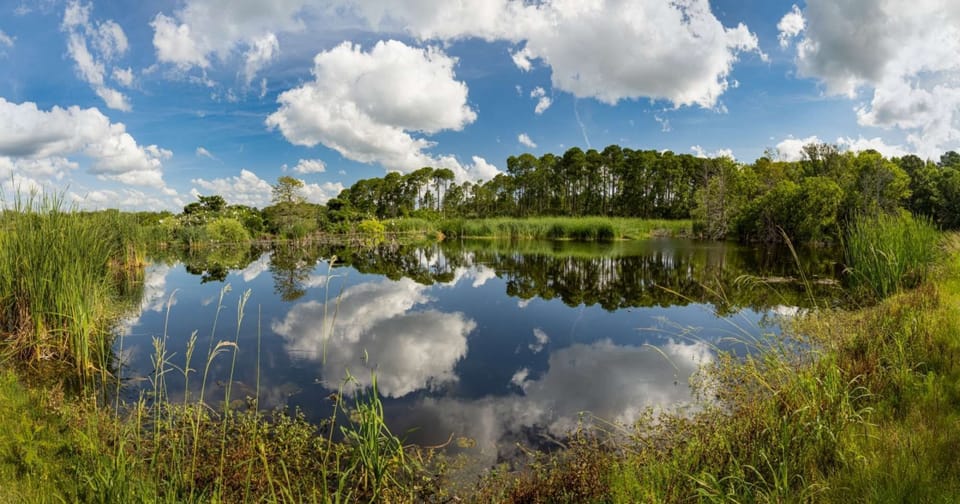 Explore Pinckney Island National Wildlife Refuge, a 4,000‑acre haven for birds and wildlife where scenic trails, marsh views, and natural habitats offer a peaceful look at Hilton Head’s wild side.