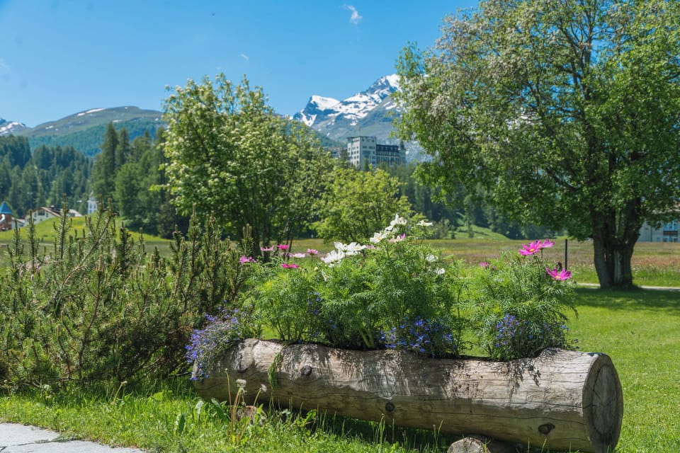 Garden view