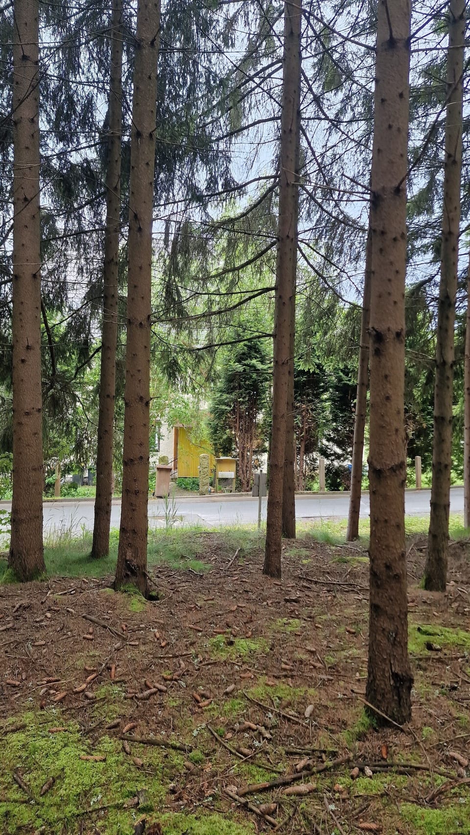 Property grounds