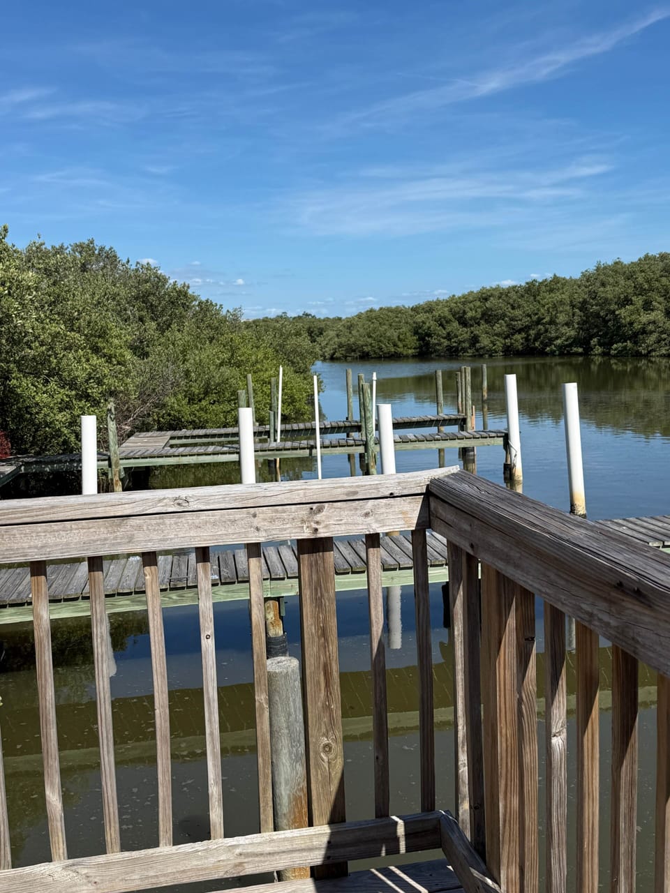 Walk down to our docks and fish or enjoy the view 