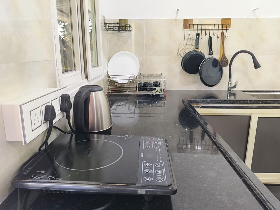 Deluxe Single Room, Balcony | Private kitchen | Full-size fridge, stovetop, dishwasher, cookware/dishes/utensils