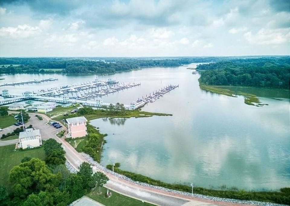 Great Marina View