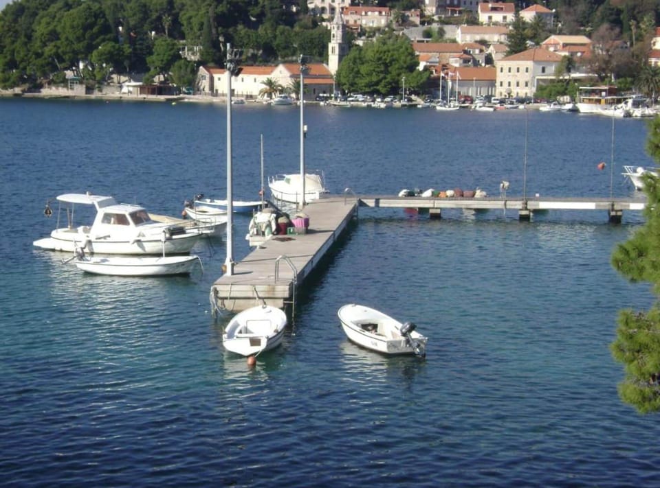 Old Town Bay Cavtat Sea View Country House in Cavtat