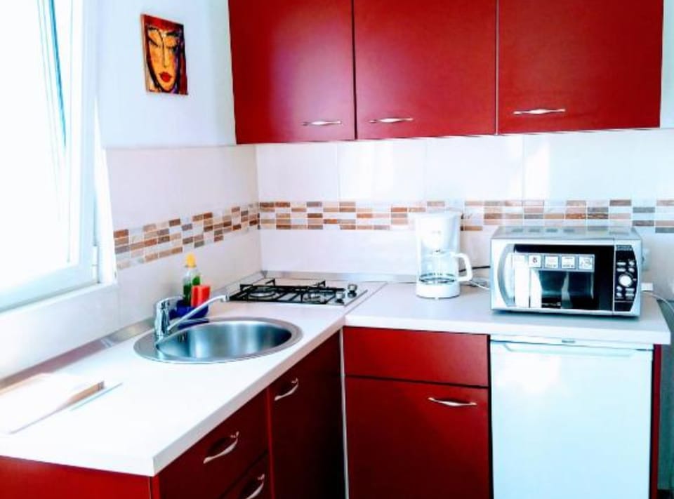Apartment (One Bedroom Apartment with Terrace) | Private kitchen | Fridge