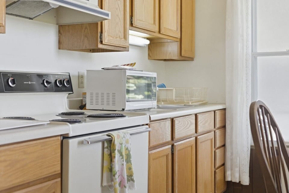 Kitchen | Electric Range | Microwave & Dish Rack
