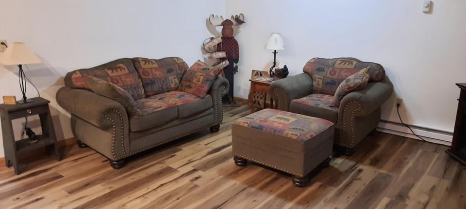 Living room with patterned fabric loveseat, armchair, matching ottoman, and light wood plank flooring.