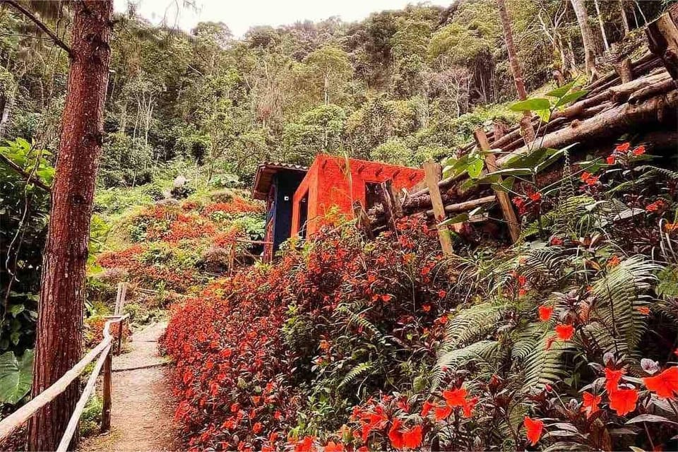 Cabin, 2 Bedrooms, Smoking, Balcony | Property grounds