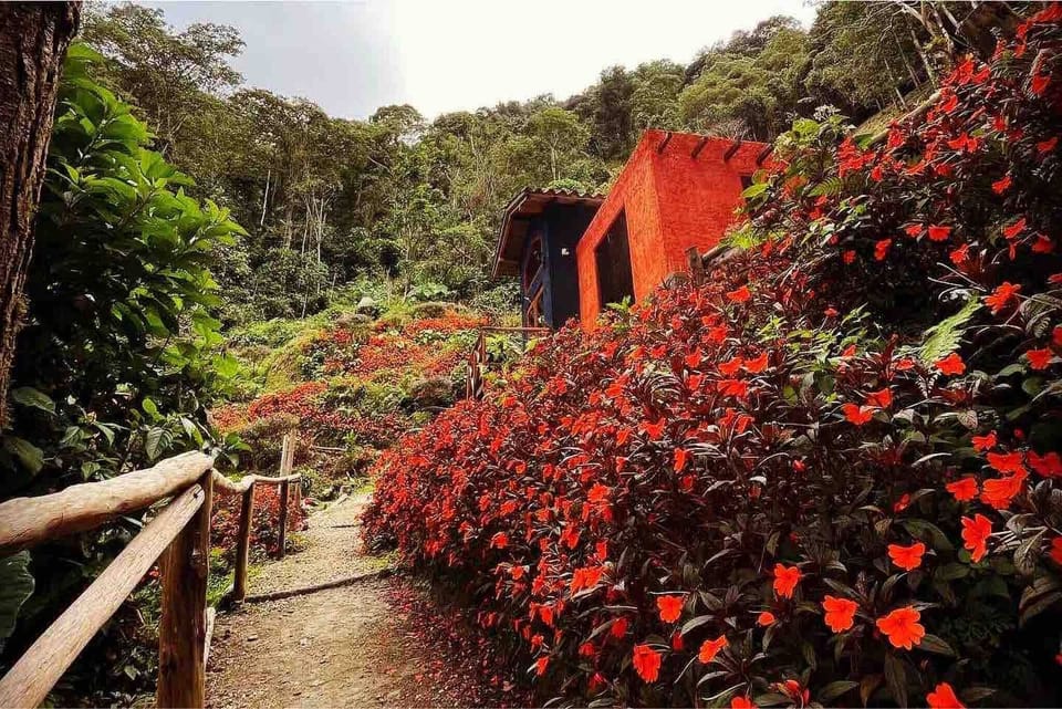 Cabin, 2 Bedrooms, Smoking, Balcony | Property grounds