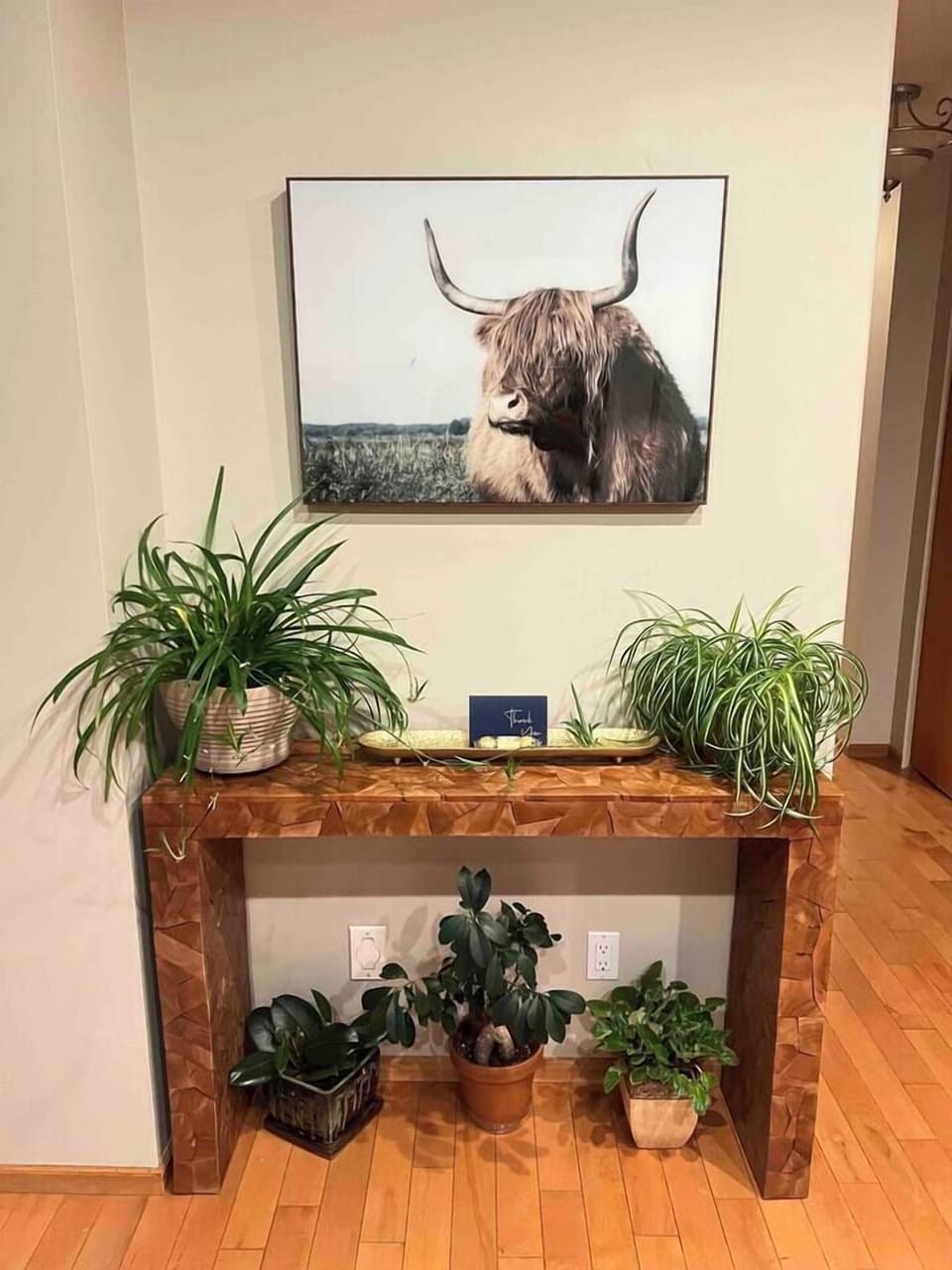 Live plants throughout the house to create a vibrant atmosphere.