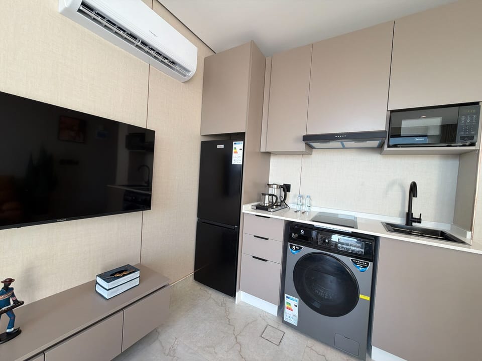 Apartment, 1 Bedroom, Accessible, Smoking | Laundry