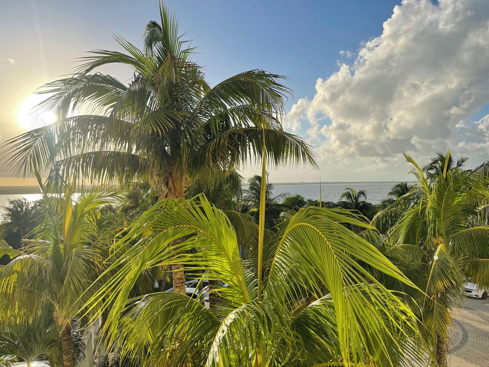 View from property