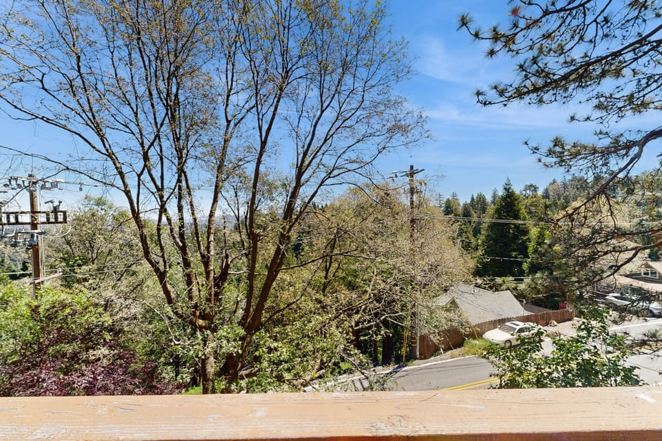 Gorgeous tree-top views.